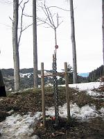  28. Februar 2010 - der Schnee verabschiedet sich wohl langsam